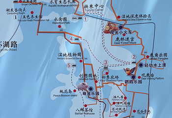溱湖国家湿地公园第 62 张图片