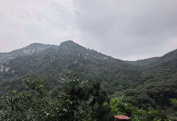 沂蒙山云蒙景区(蒙山国家森林公园)第 55 张图片