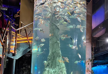 吉隆坡城中城水族馆第 57 张图片