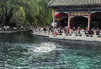 趵突泉景区第 187 张图片