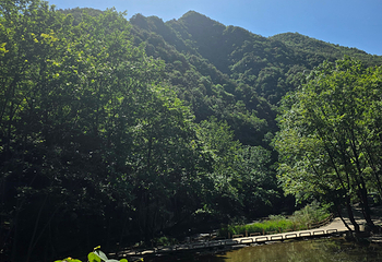五龙河风景区第 18 张图片