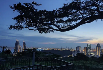 花柏山公园第 176 张图片