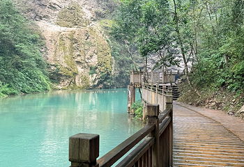 张家界大峡谷第 130 张图片