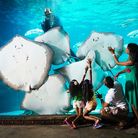 德班乌沙卡水底世界水族馆