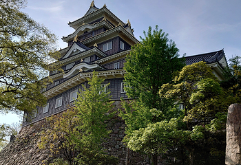 冈山城第 20 张图片