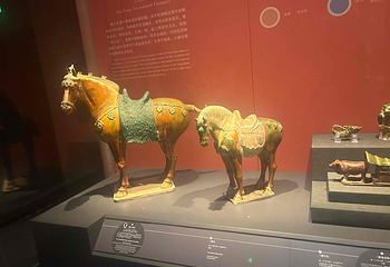陕西历史博物馆第 121 张图片