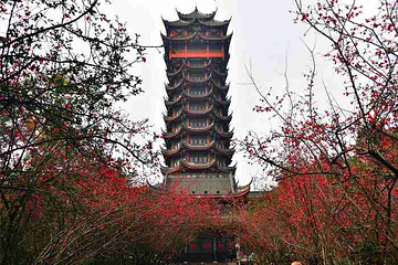 塔子山公园第 22 张图片