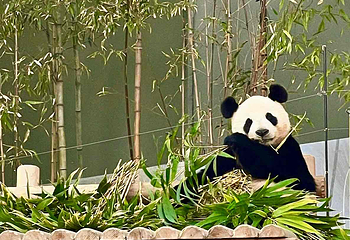 爱宝乐园第 153 张图片