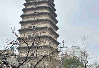 小雁塔遗址公园第 80 张图片