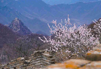 居庸关长城第 35 张图片