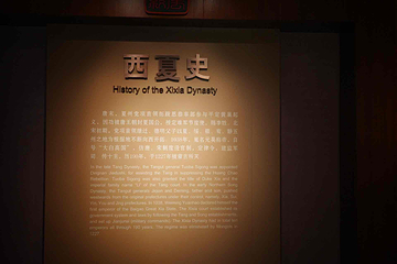 西夏陵第 207 张图片