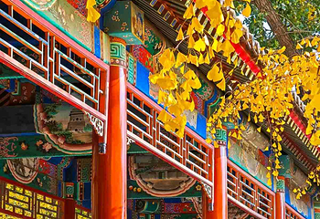 中山公园第 15 张图片
