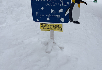 旭山动物园第 45 张图片