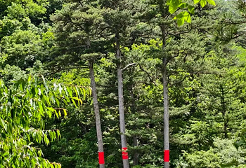 玉渡山景区第 70 张图片