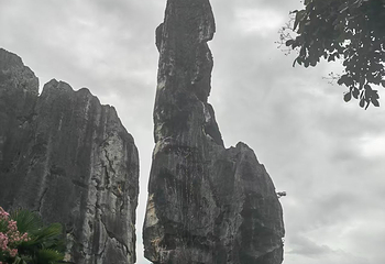 石林风景区第 232 张图片