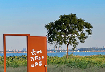 阳澄湖第 62 张图片