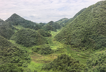梅花山旅游景区第 33 张图片
