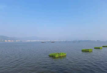 滇池第 37 张图片