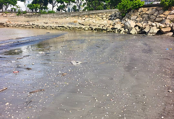 黑沙海滩第 56 张图片