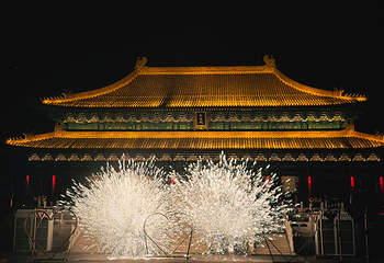 代王府·大明百戏园第 18 张图片