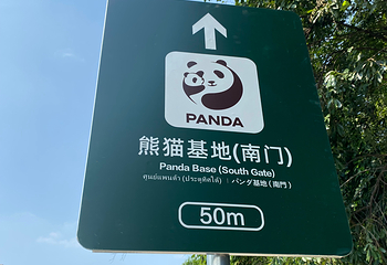 成都大熊猫繁育研究基地第 397 张图片