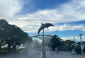 冲绳美丽海水族馆第 136 张图片