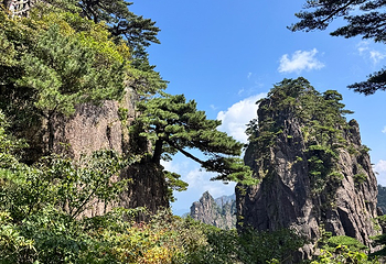 黄山风景区第 253 张图片