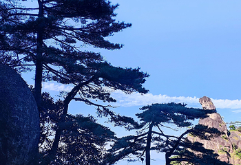 三清山风景区第 317 张图片