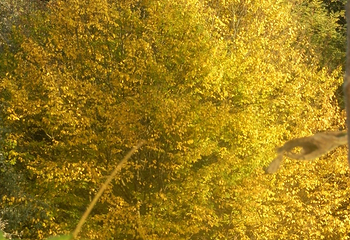 Le Mura di Ferrara第 19 张图片