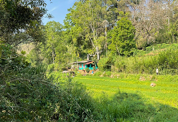 埃拉岩第 15 张图片