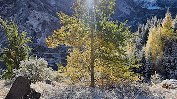 Gorel'nik thermal source