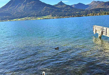 萨尔茨卡默古特地区圣沃尔夫冈第 39 张图片