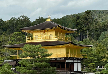 金阁寺第 18 张图片