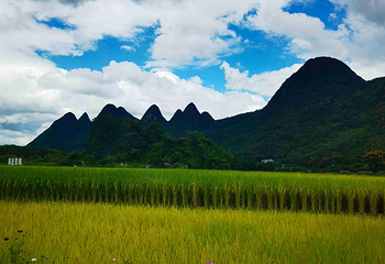 万峰林景区第 34 张图片