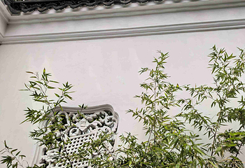 拙政园第 301 张图片