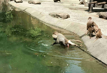 上海动物园第 133 张图片