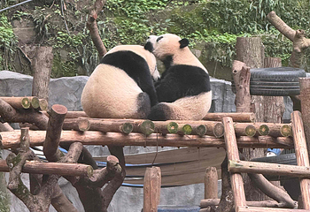 重庆动物园第 113 张图片