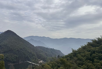 江南天池第 32 张图片