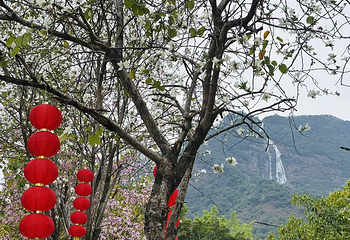 白水寨风景名胜区第 51 张图片