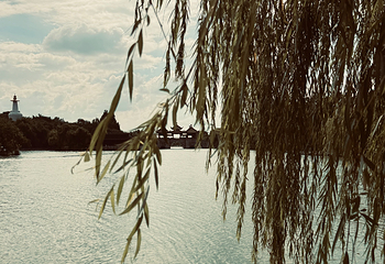 瘦西湖第 406 张图片