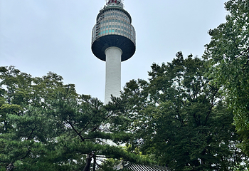 N首尔塔第 97 张图片