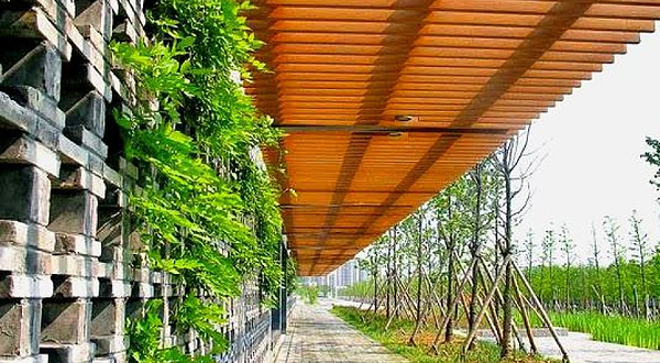 西大河体育公园