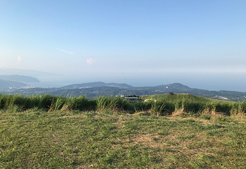 大室山第 40 张图片