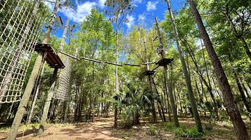 Orlando Tree Trek Adventure Park
