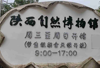 陕西自然博物馆第 29 张图片