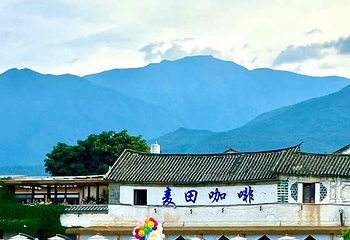 喜洲麦田小火车第 8 张图片