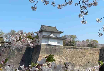 大阪城公园第 214 张图片