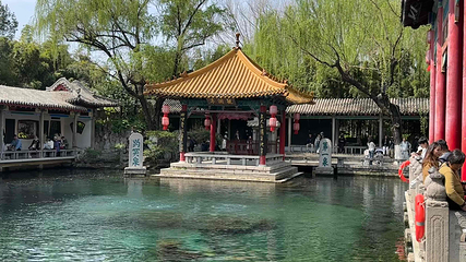 趵突泉景区第 154 张图片