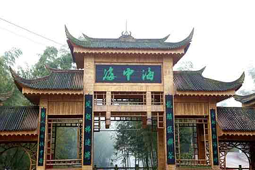 蜀南竹海第 23 张图片