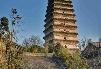 小雁塔遗址公园第 63 张图片